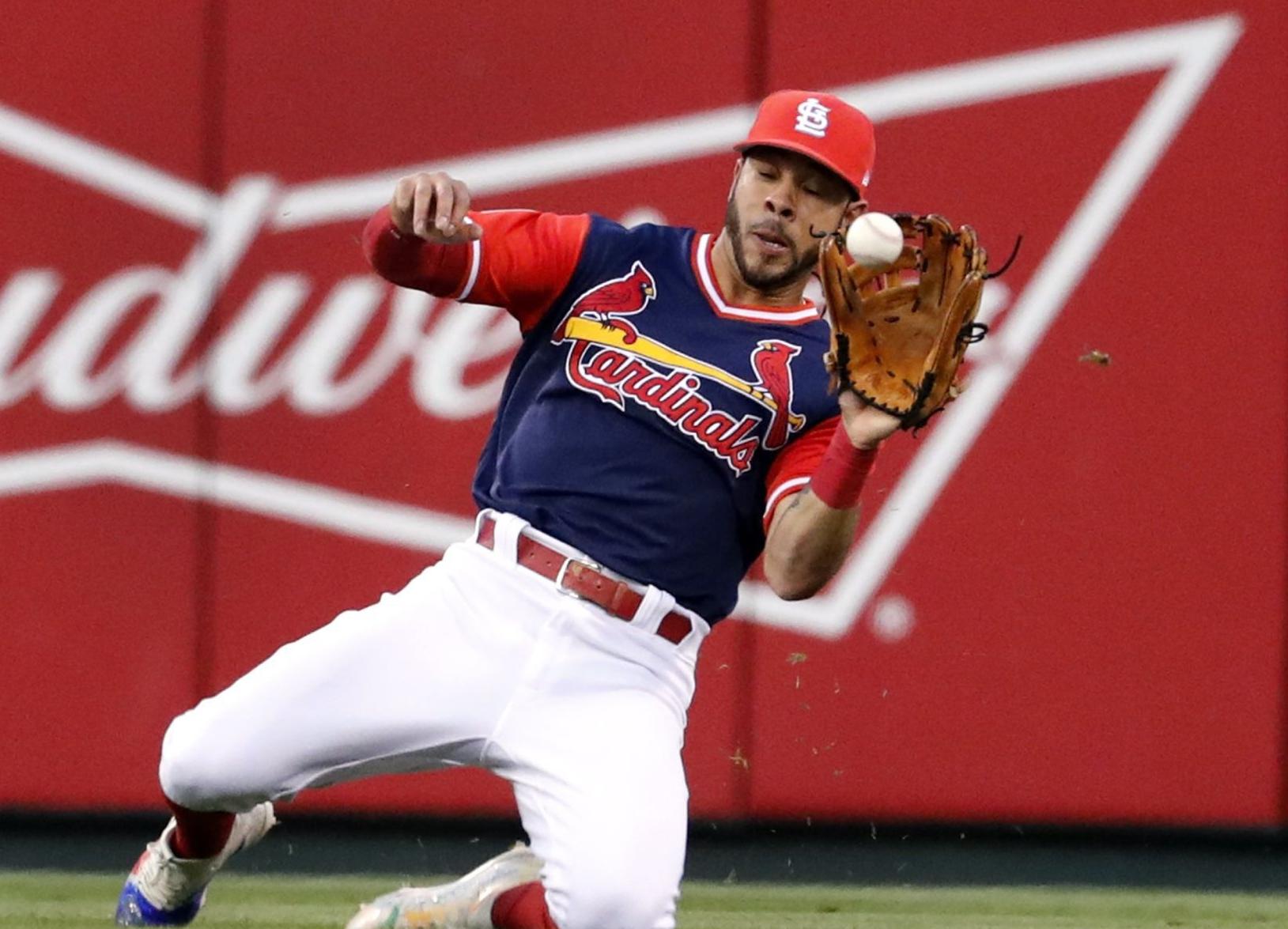 Rays Cardinals Baseball